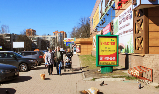реклама на сити-форматах на ул. Александровская, 80, магазин бытовой техники DNS, универсам Мельница, сторона А